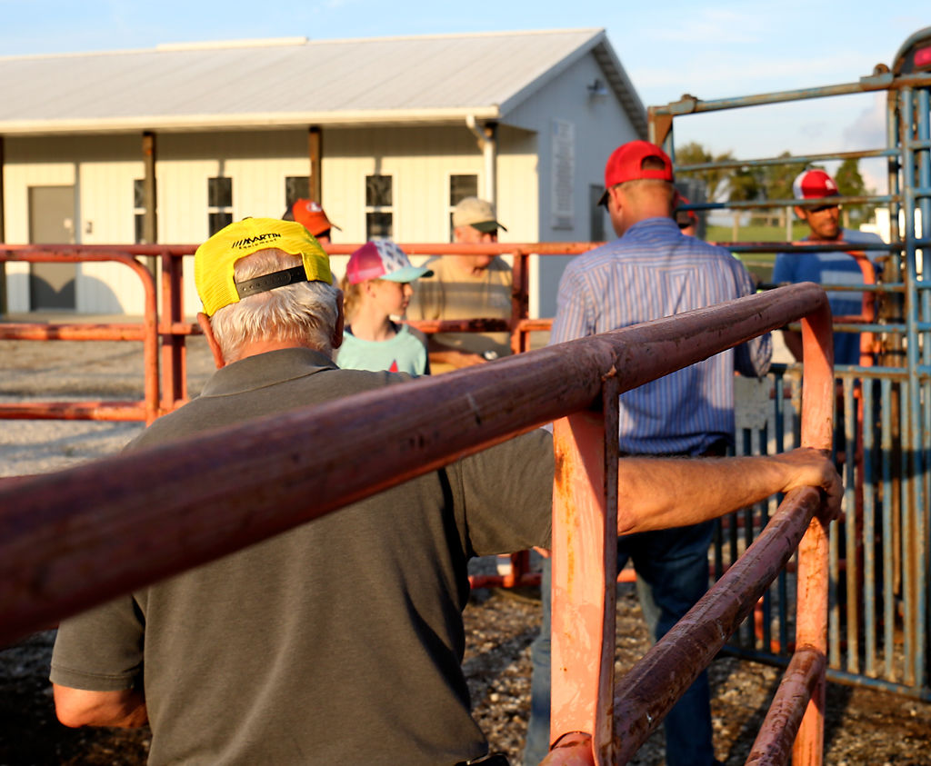 The crew of the Three Hills Rodeo Company unloads calves